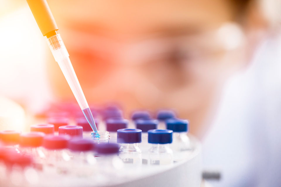 Quercetin Cancer Research Lab, animal, and clinical studies suggest quercetin can help fight cancer.